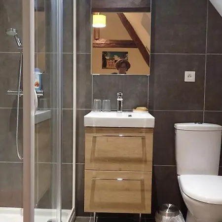 Luxueux Avec Piscine Et Wifi, Proche Circuit 24h Du Mans, Animaux Bienvenus - Fr-1-410-430 * Bonnetable