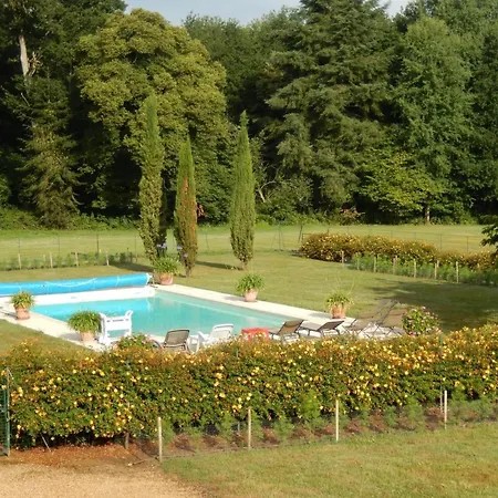 Vakantiehuis Luxueux Avec Piscine Et Wifi, Proche Circuit 24h Du Mans, Animaux Bienvenus - Fr-1-410-430 Bonnetable