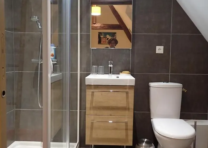 Luxueux Avec Piscine Et Wifi, Proche Circuit 24h Du Mans, Animaux Bienvenus - Fr-1-410-430 * Bonnetable